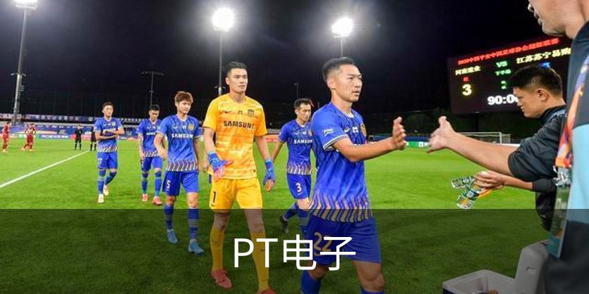 PT电子简介